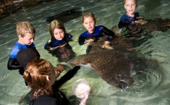Ripley's Aquarium, Myrtle Beach, SC