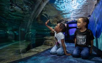 Two young children inside the Ripley's Aquarium tiny tot tunnel