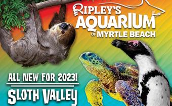 Ripley's Aquarium Myrtle Beach Sloth Valley