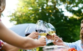 Ladies clinking wine glasses