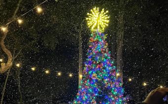Surfside Beach Christmas Tree lighting
