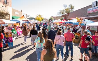Crowd Walking around at the Loris bog-off