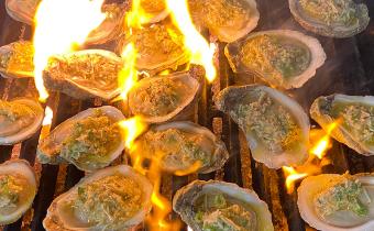 Noizy Oysters half shell oyster on grill