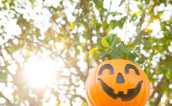 Halloween pumpkins in trees in Conway