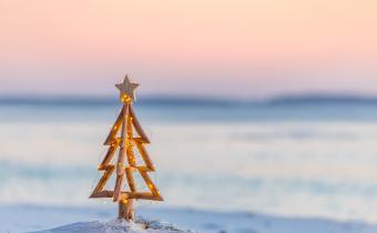 christmas tree on beach