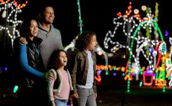 Winter Wonderland at The Beach Holiday Lights