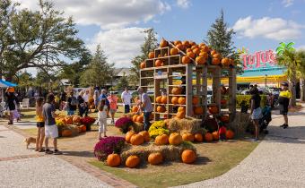 Boofest at Barefoot Landing with pumpkins