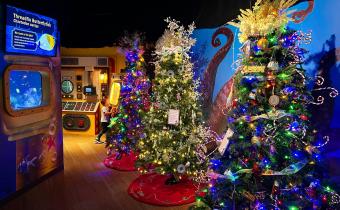 Ripley's Festival of Trees