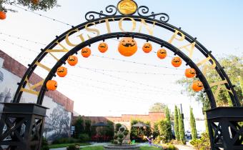 Conway Downtown Halloween