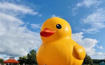 World's Largest Rubber Duck