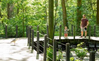 Brookgreen Gardens Lowcountry Zoo