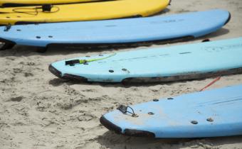 Surfboards in a line on the beach.