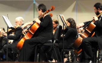 Long Bay Symphony members string section