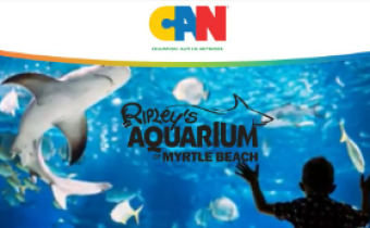 Sensory Friendly Ripley's Aquarium
