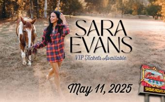 Sara Evans Photo