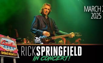 Rick Springfield Photo