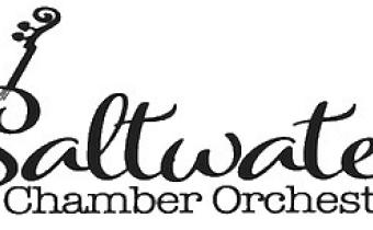 “Saltwater Chamber Orchestra to Perform at the Horry County Museum” Photo