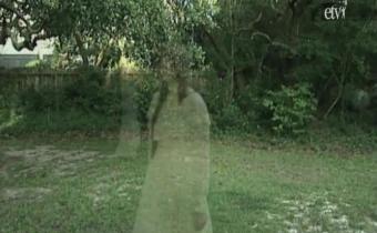 South Carolina Ghosts & Legends Volumes I-III Photo