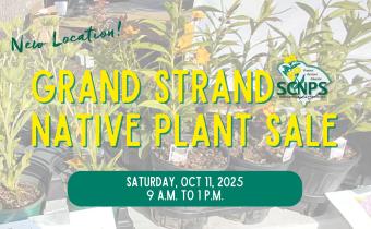 Grand Strand Fall Native Plant Sale Photo