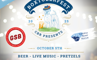 Boxtoberfest Photo