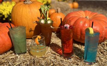 Halloween Brunch Photo