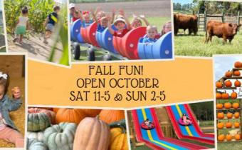 Southern Palmetto Farms Fall Fun Photo