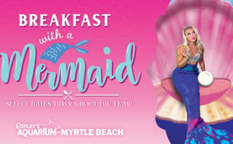 Breakfast with a Mermaid Photo