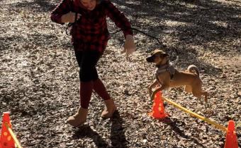 Dog Training at Myrtle Beach State Park! Photo