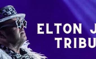 Elton John Tribute Photo