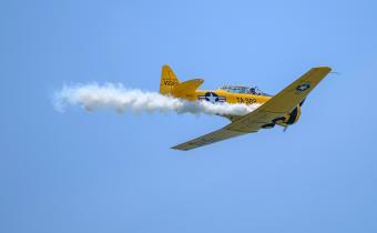 Salute from the Shore Photo