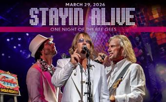 Stayin’ Alive: One Night of the Bee Gees Photo