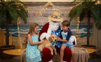 Santa Photos - Capture the Magic of Christmas! Photo