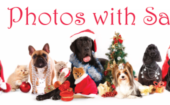 Pet Photos with Santa Photo