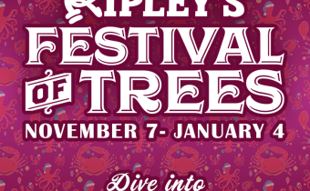 Ripley's Festival of Trees Photo