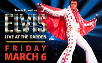 Elvis LIVE at The Garden Photo