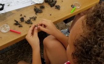 Free Children’s Program at the L.W. Paul Living History Farm Photo