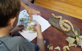 Free Children’s Program at the L.W. Paul Living History Farm Photo