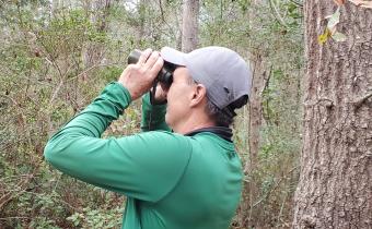 Birding Photo