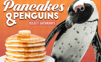 Pancakes & Penguins at Ripley’s Photo