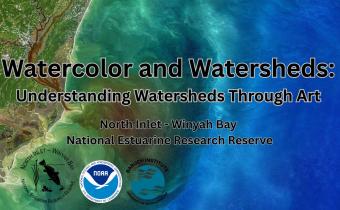 Watercolor and Watersheds: Understanding Watersheds Through Art Photo