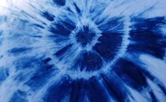 Free Children’s Program at the L.W. Paul Living History Farm Photo