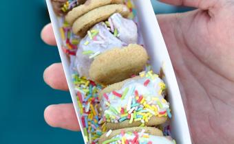 No No Nuts Ice Cream Photo