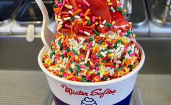 Mister Softee of Horry County Photo