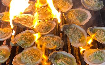 Noizy Oysters Bar & Grill Photo
