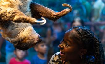 Ripley's Aquarium of Myrtle Beach Photo