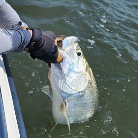 Man holding fish by the mouth over the side of a boat