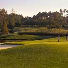 Panther's Run golfers on golf course