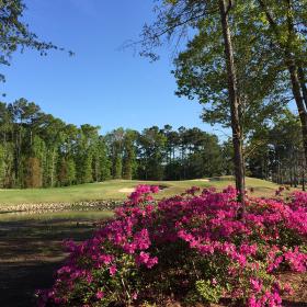 River Oaks Golf Club fairway with azaleas