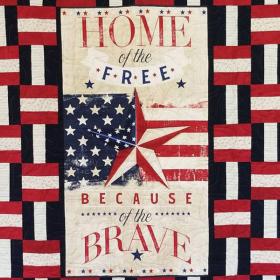 Quilts of Valor at the Horry County Museum Photo