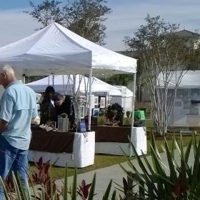 Art in the Park Market Common Photo